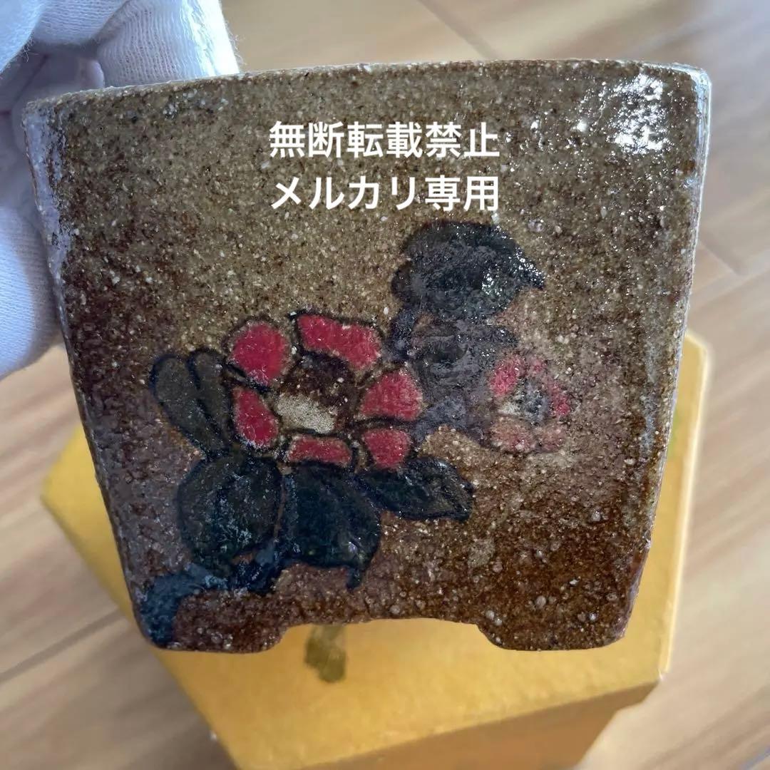 盆栽鉢　桑津香石　絵鉢　正方形　菖蒲　椿　小品盆栽