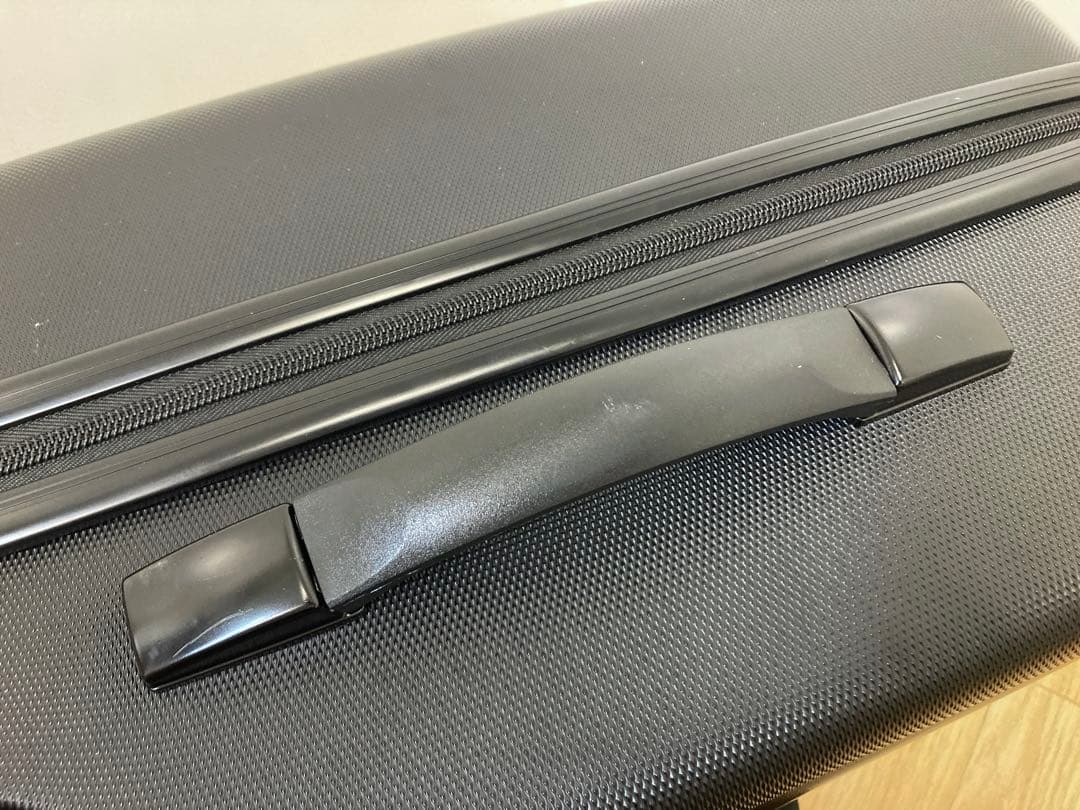 mountain buggy 子供が乗れるキャリーバッグ