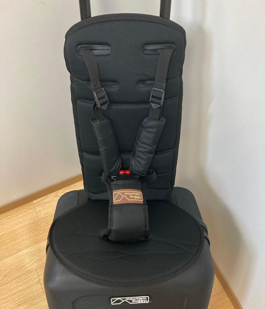 mountain buggy 子供が乗れるキャリーバッグ