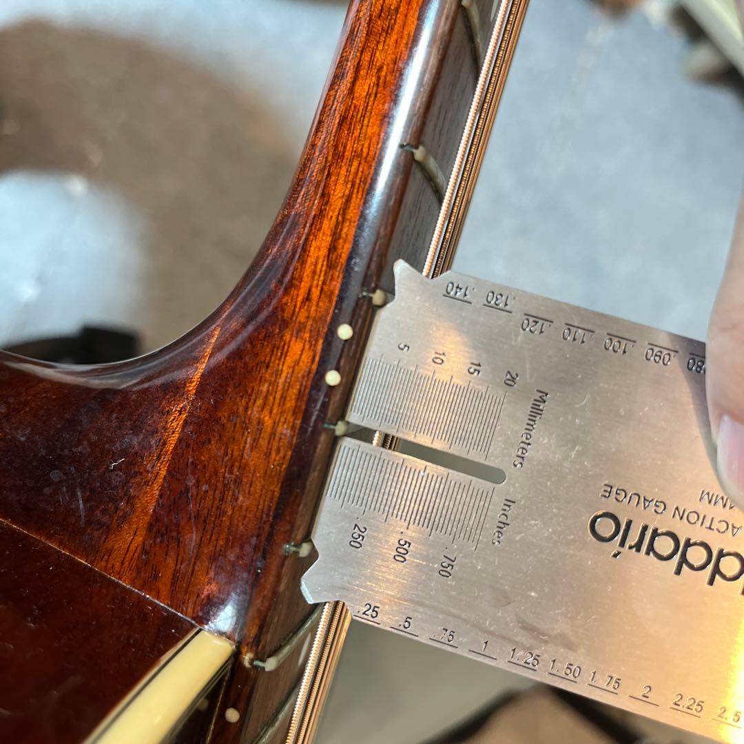 Eastman E10 SS 【book13さん専用】