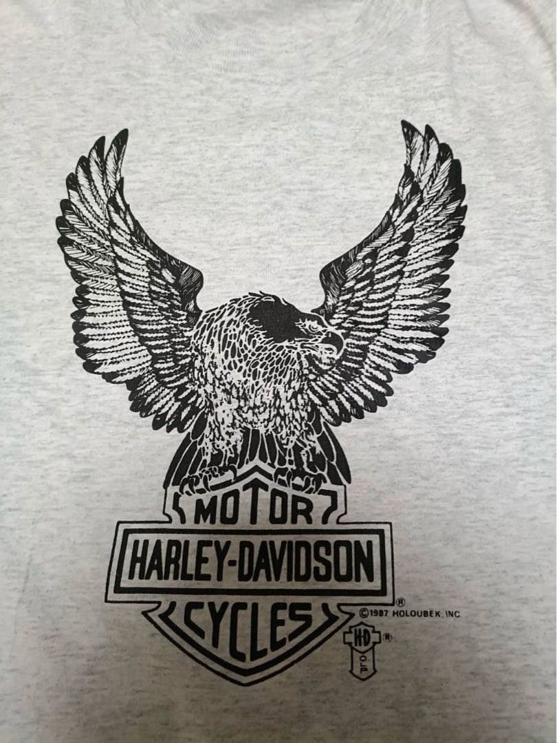 【L】©️1987-Harley-DavidsonT_USA製_ウィング_フロリダ