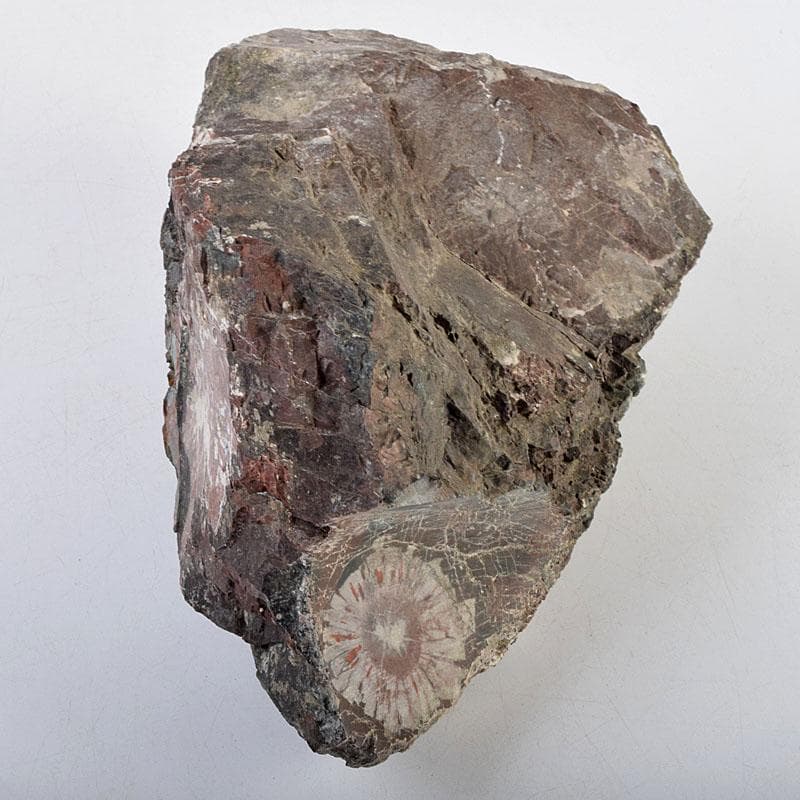 天然石　鑑賞石　菊花石　置物　重さ約3050g　N　8915