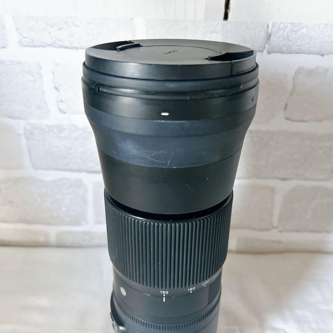 komrkko ✨SIGMA 150-600mm F5-6.3 DG✨