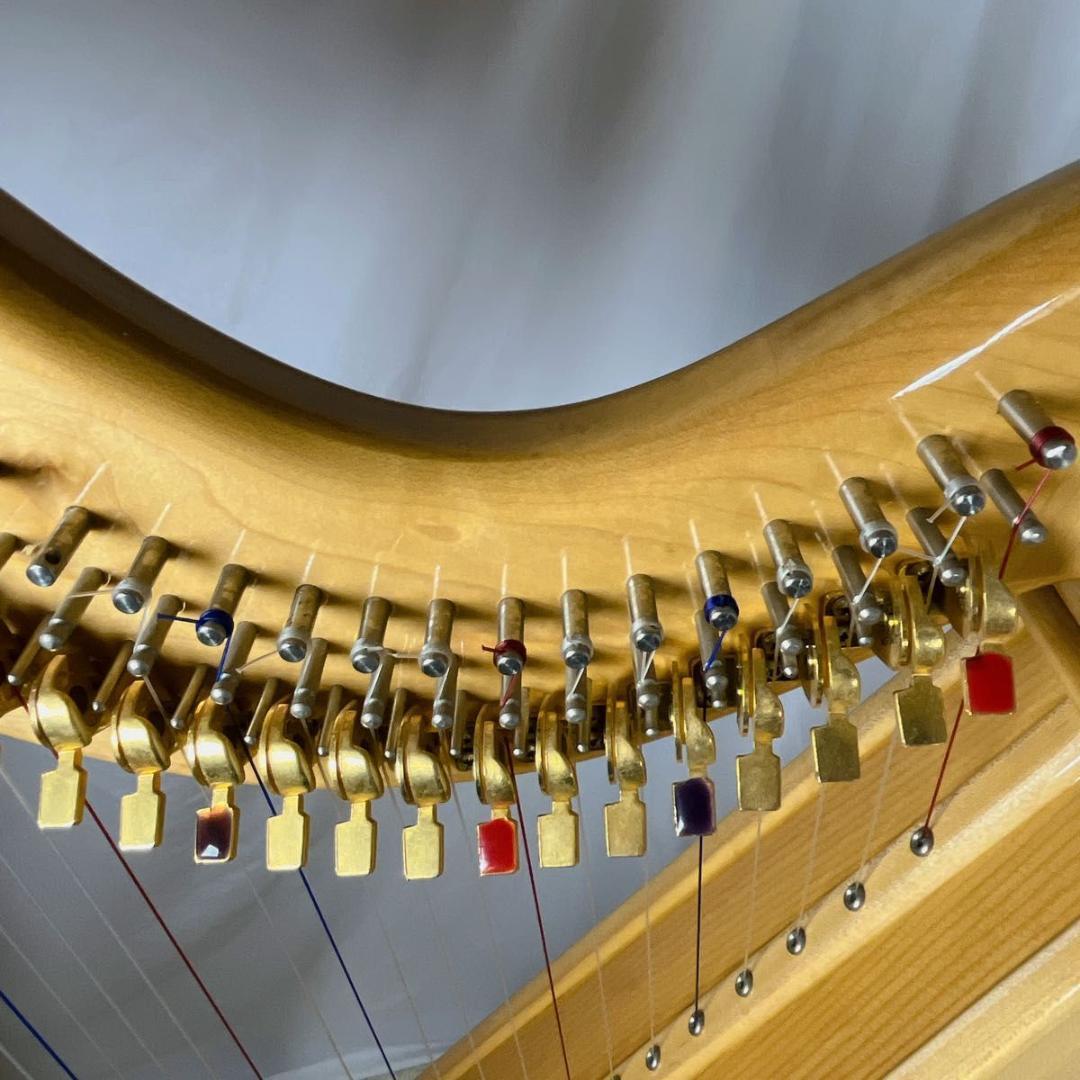 ✨希少✨東京都 神奈川県 引き取り限定　Artone Harp 36弦　ハープ