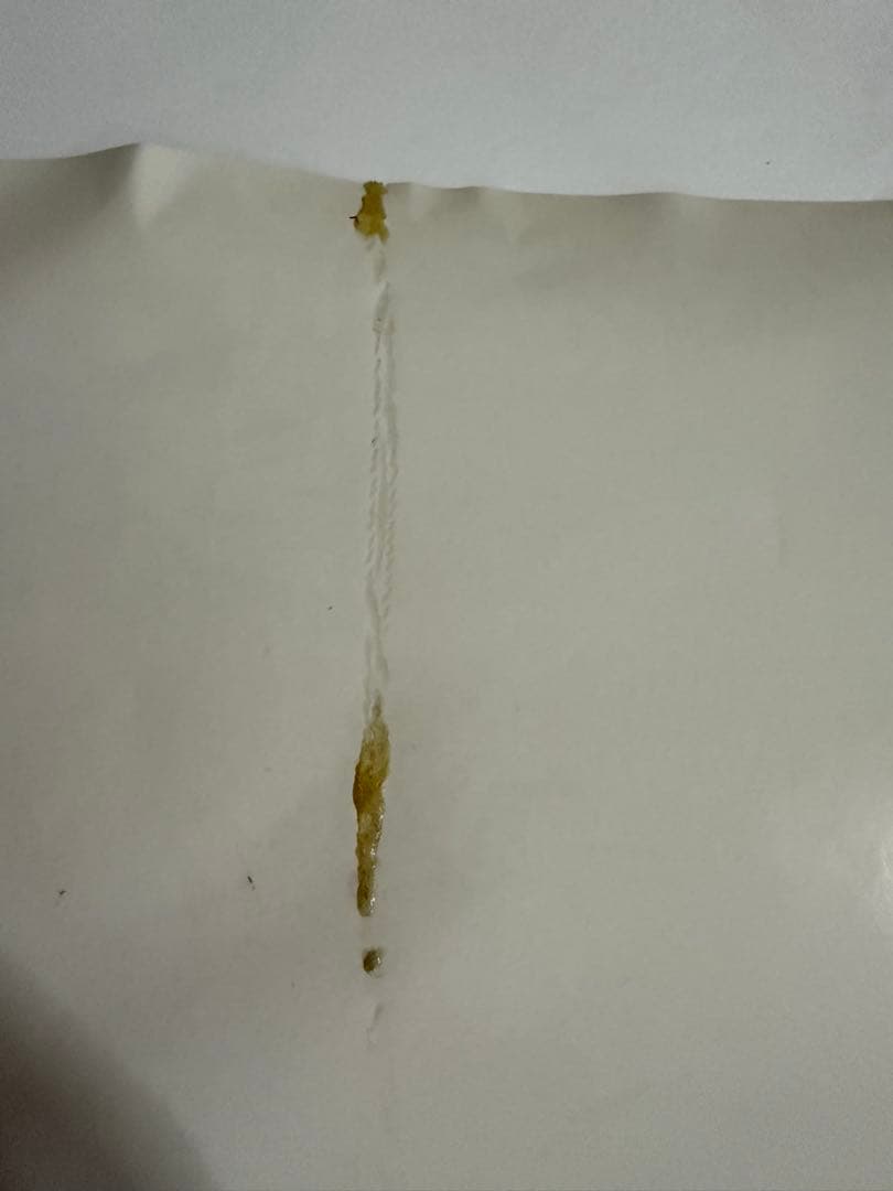 木崎ゆりあポスター【イベント限定特典品】【非売品】【最終在庫1点限り】