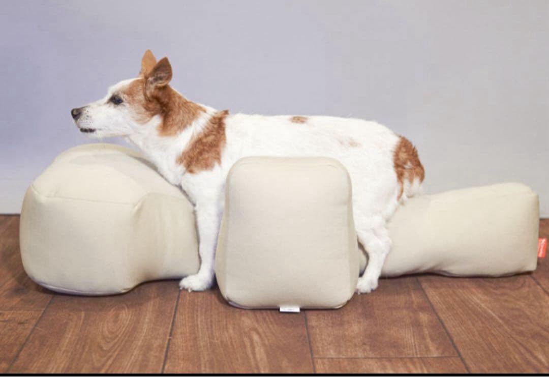 【Ｌサイズ】OneAid リラクッション ブラウン L 専用カバー付き