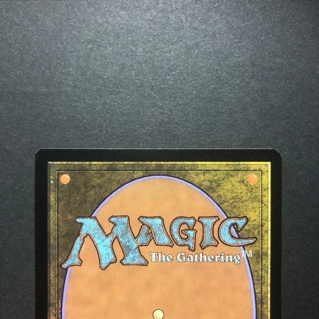 ドイツ語　吹きさらしの荒野　ゼンディカーエクスペディションFOIL MTG