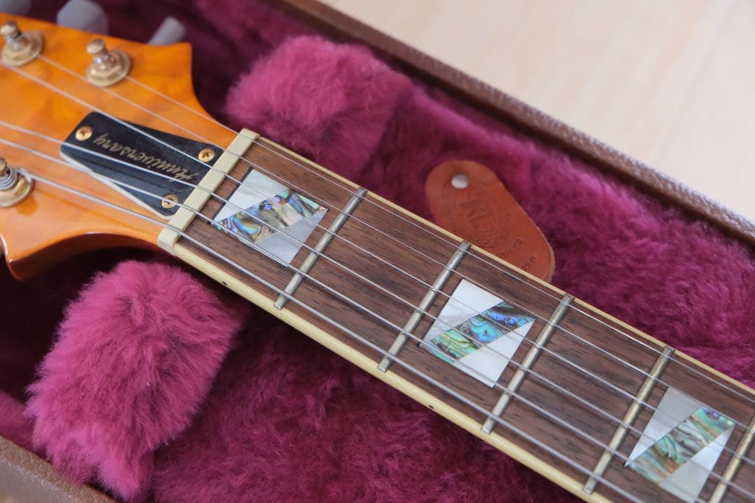 Aria Pro Ⅱ PE-Anniversary 限定モデル ハードケース付属