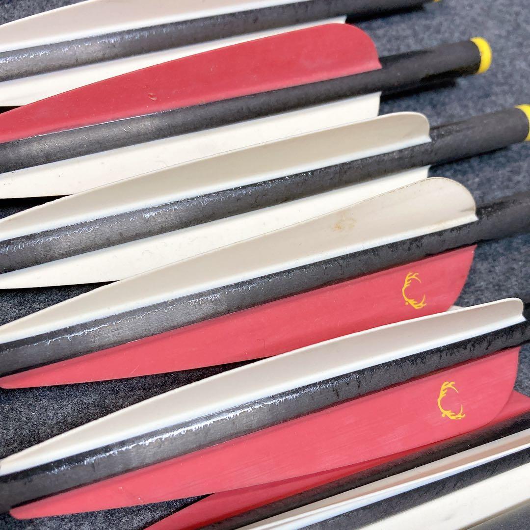 TENPOINT PRO ELITE カーボン矢 ＆ アルミ矢 まとめ売り