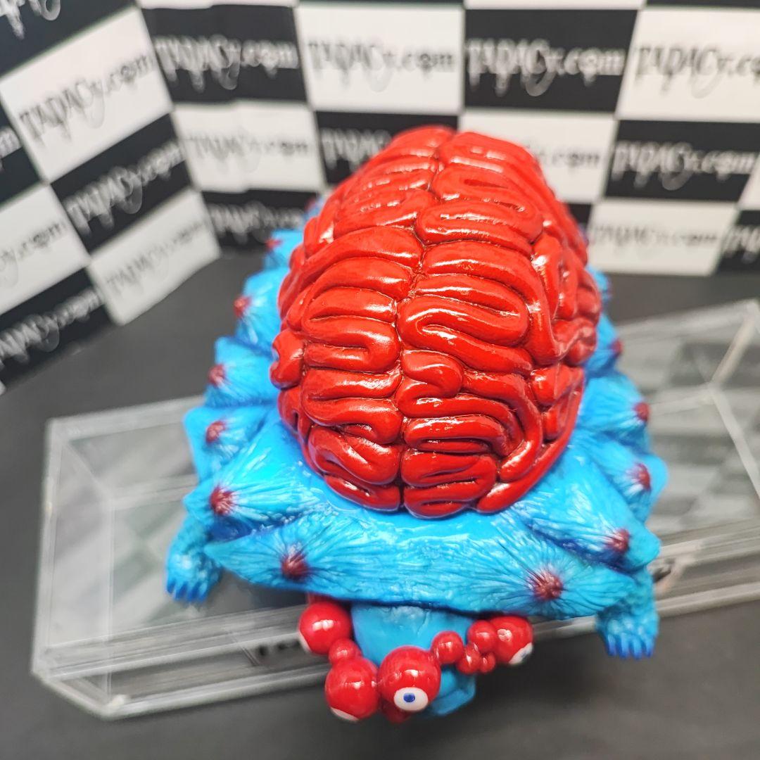 104ブレインタートル