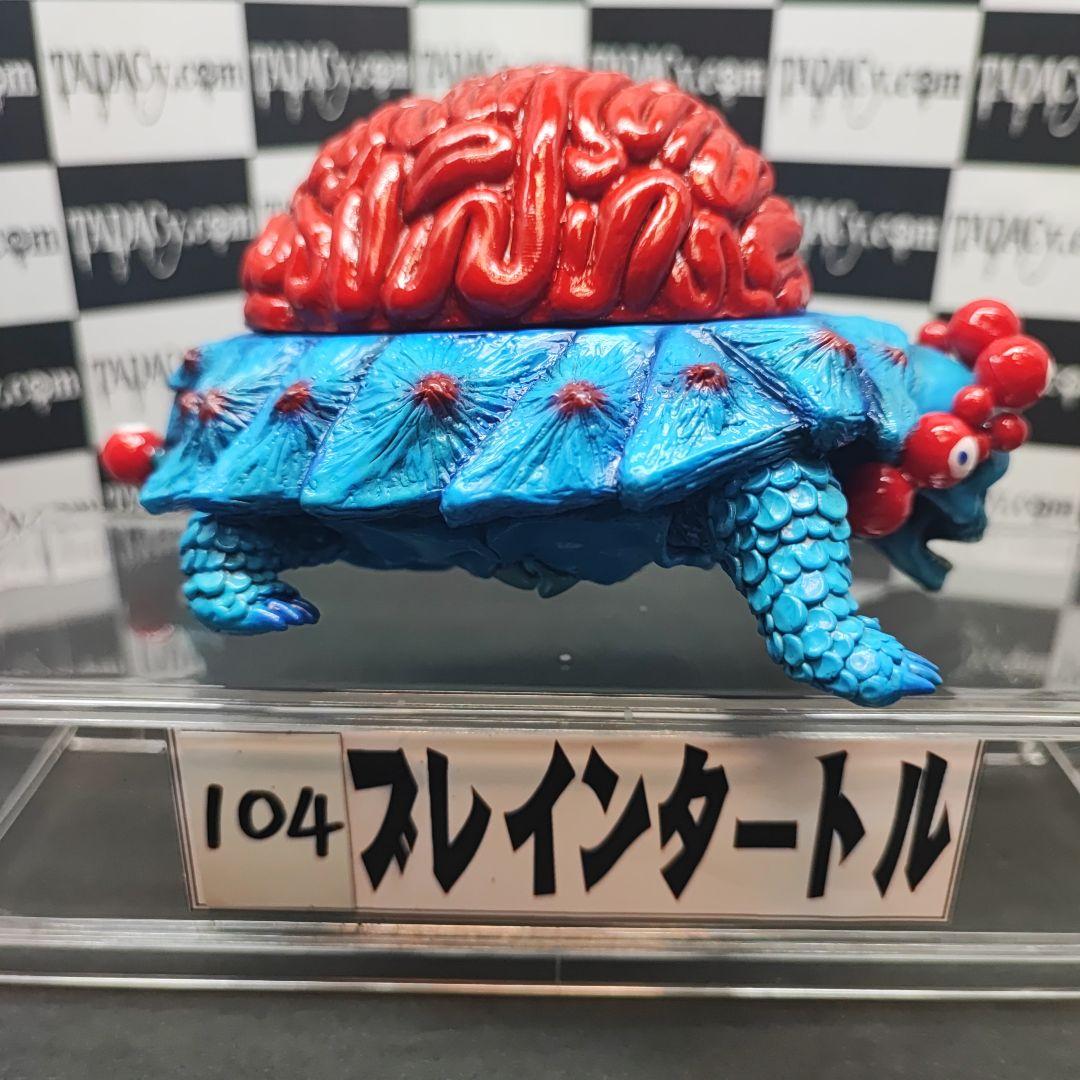 104ブレインタートル