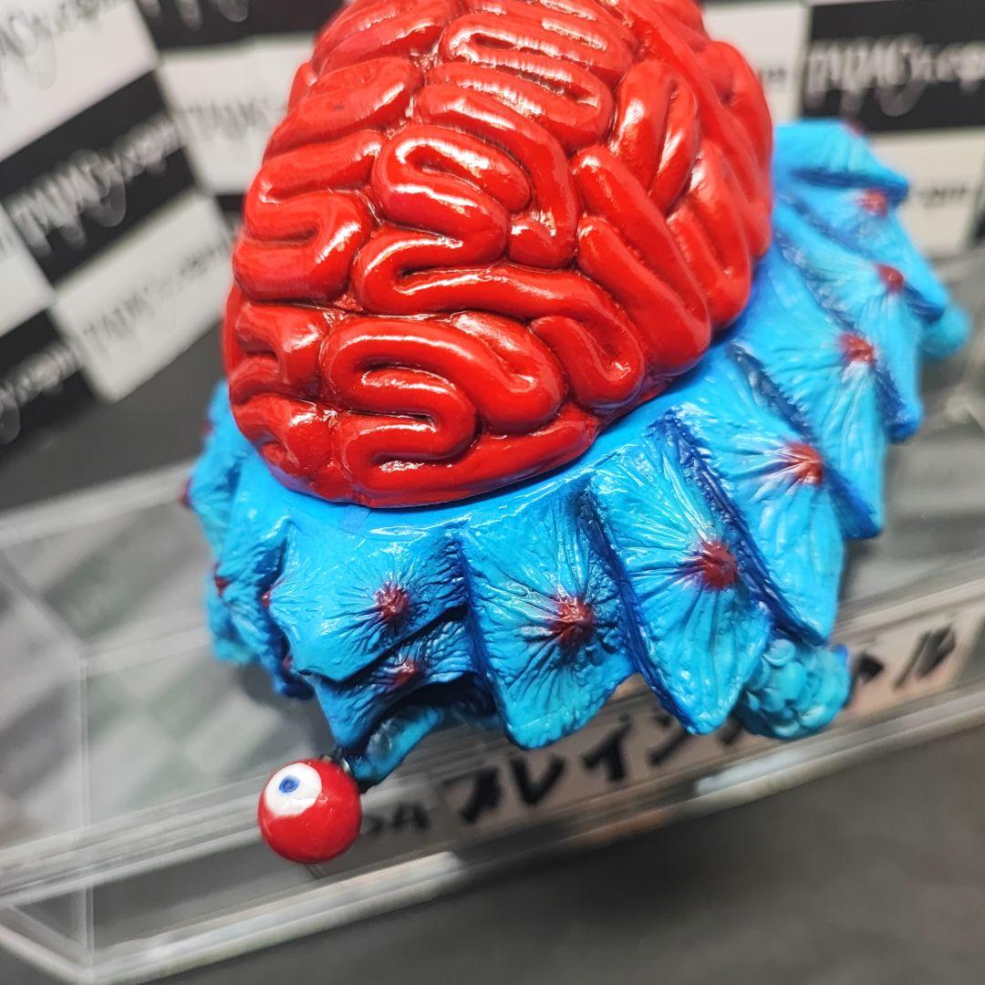 104ブレインタートル