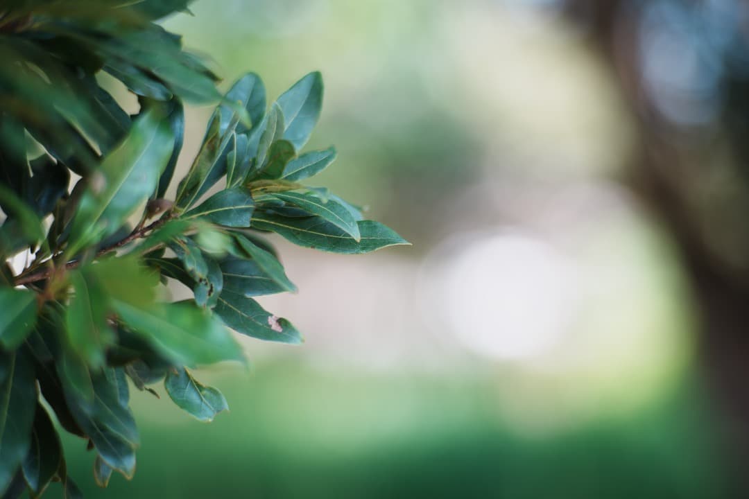 【美品】Carl Zeiss Planar 85mm F1.4 AEG 156