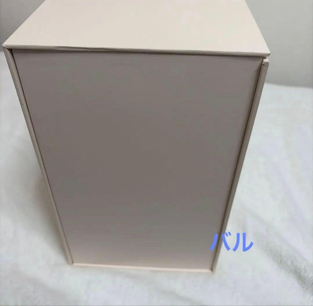 POPMART Labubu CatchMe If You バレンタイン