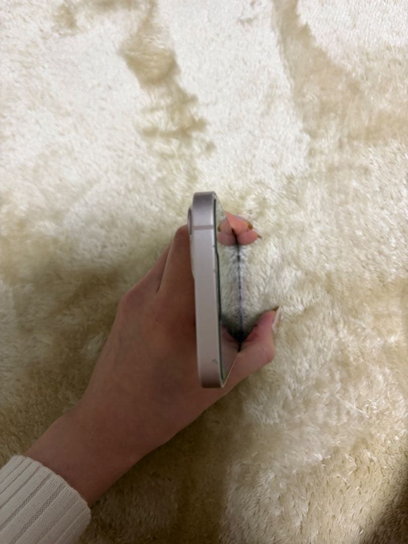 Apple iPhone 13 128GB・SIMフリー