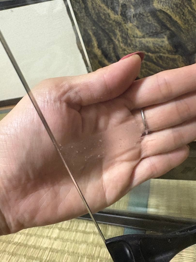 【直接取引限定】【早い者勝ち】グラステラリウム4530！