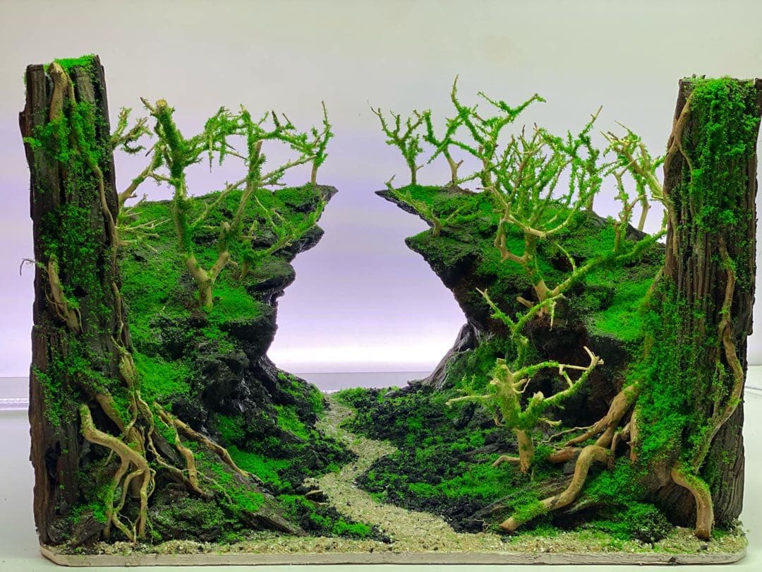 【在庫処分　半額OFF】自然美水景レイアウト – メンテナンス不要で常に緑豊か！