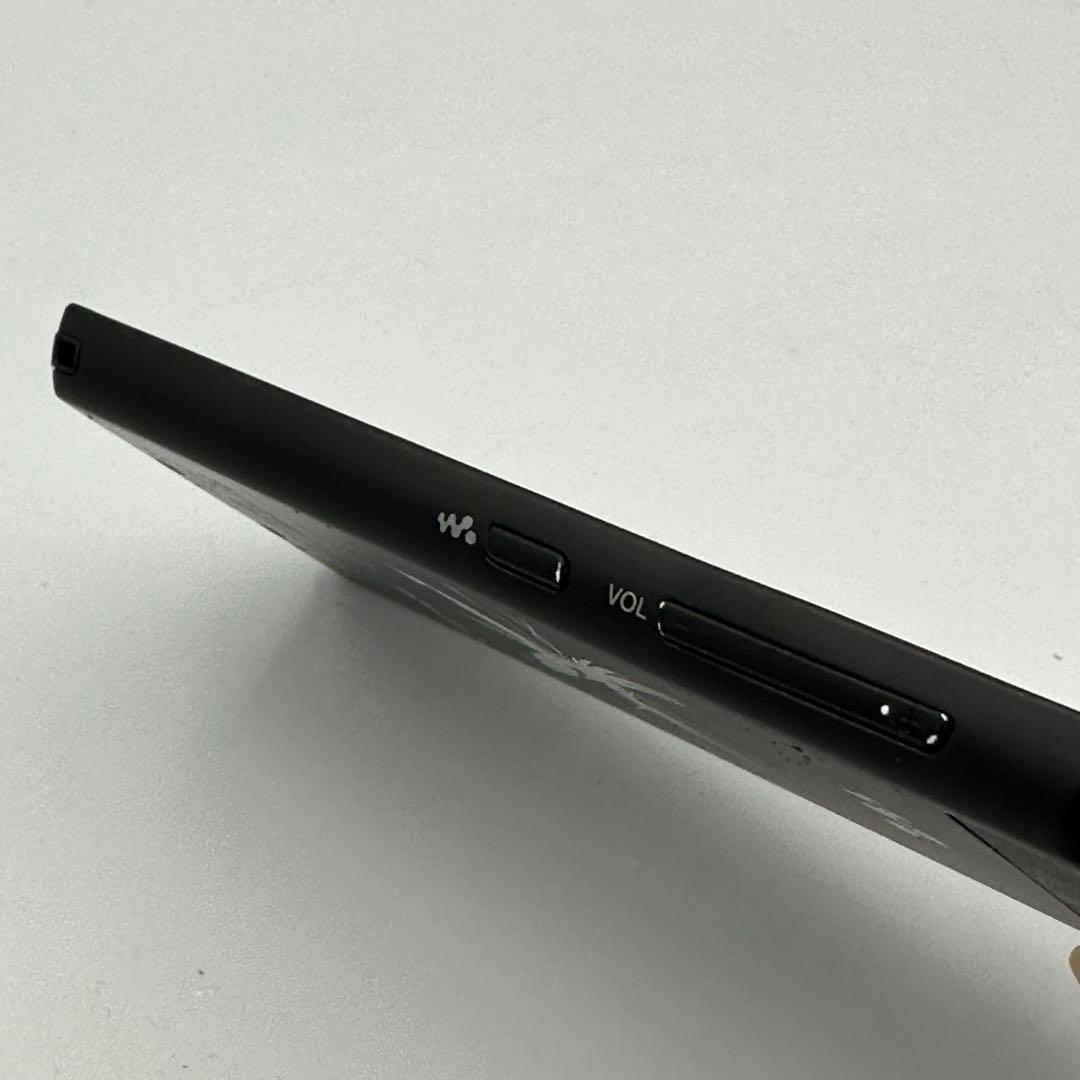 【概ね美品】希少モデル SONY WALKMAN NW-F805 16GB