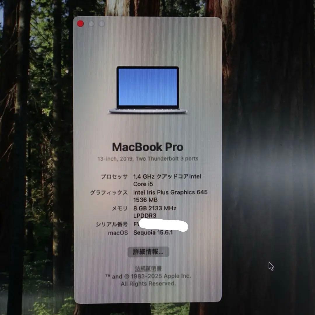 【ジャンク品】Apple MacBook Pro 本体