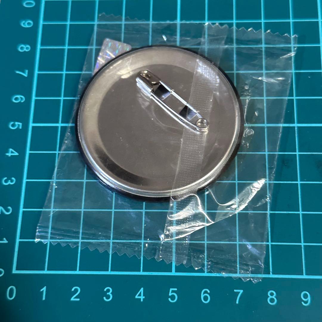 エヴァンゲリオン　新劇場版　AnimeJapan 2016 渚カヲル　缶バッジ