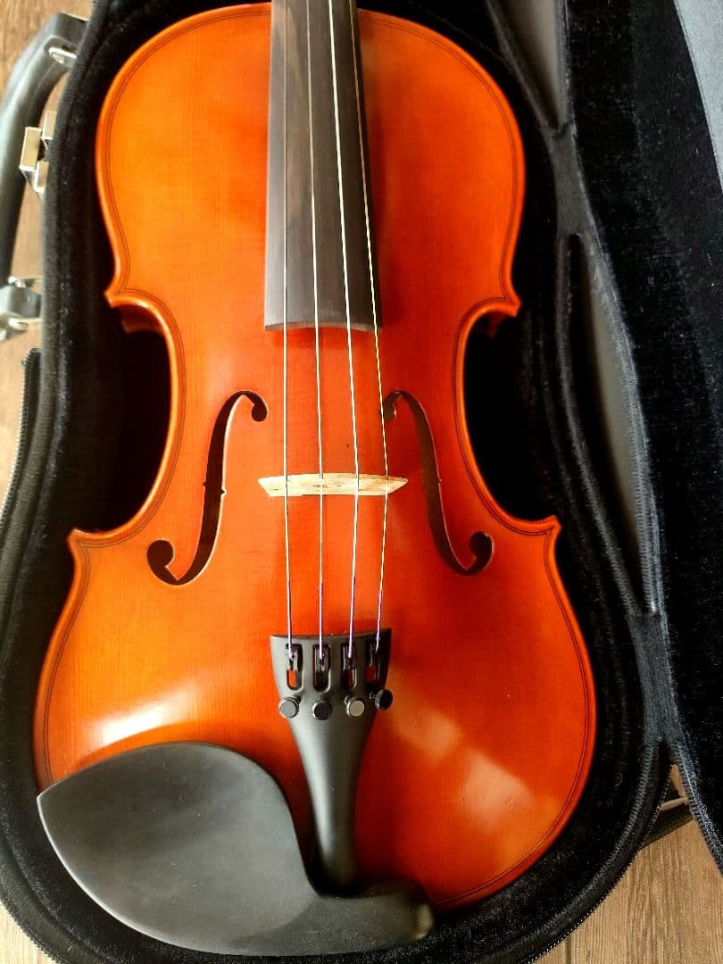 Andreas Eastman VL80 4/4　バイオリン 4/4 2013年