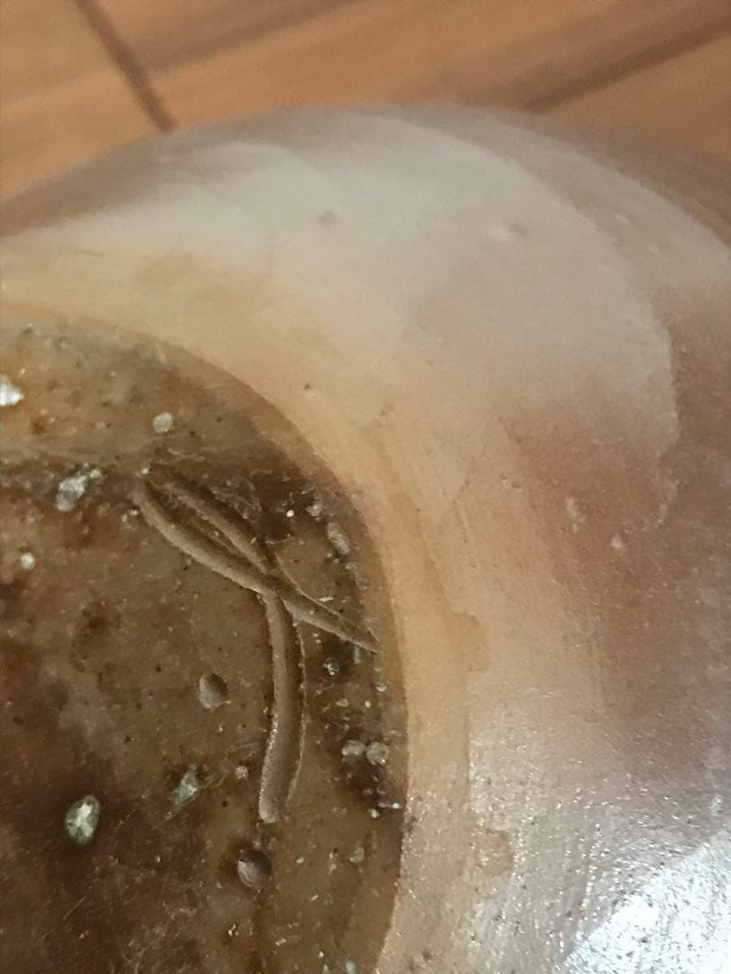 備前焼　伝統工芸士　花瓶・壺