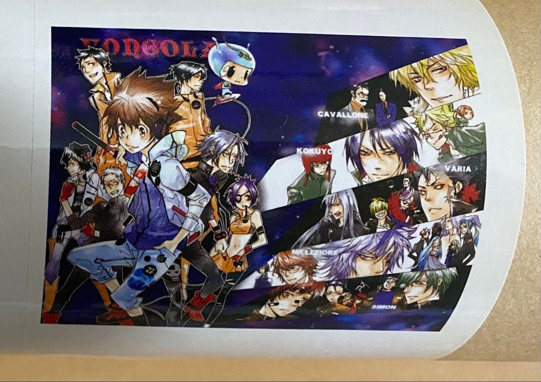 家庭教師ヒットマンREBORN! 特大ポスター150×120超