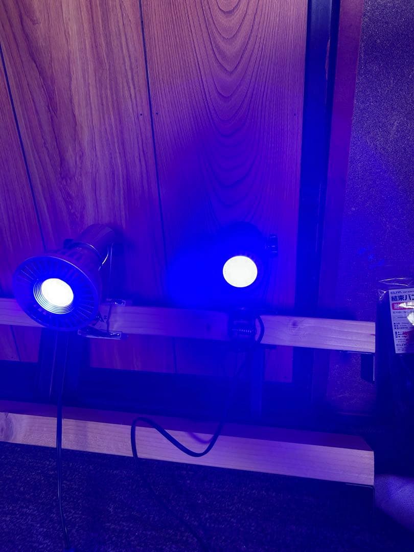 グラッシーレディオ 3点(おまけ１個)＆クリップライト2点セット タイマー付