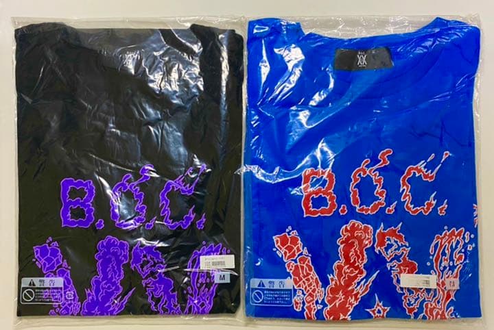 【新品・未開封】【バラ売り可】BUMP 20 グッズセット