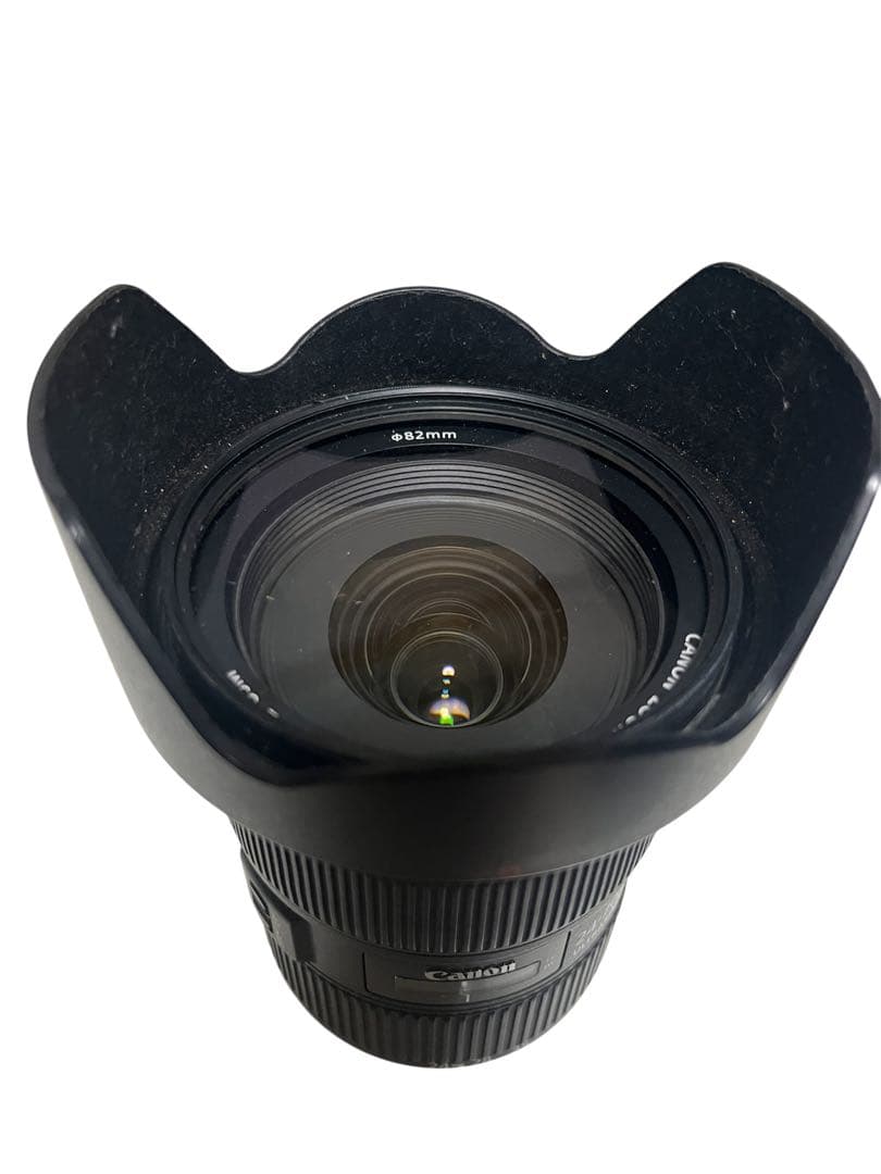 レンズ(単焦点) Canon EF 24-70mm f/2.8L II USM