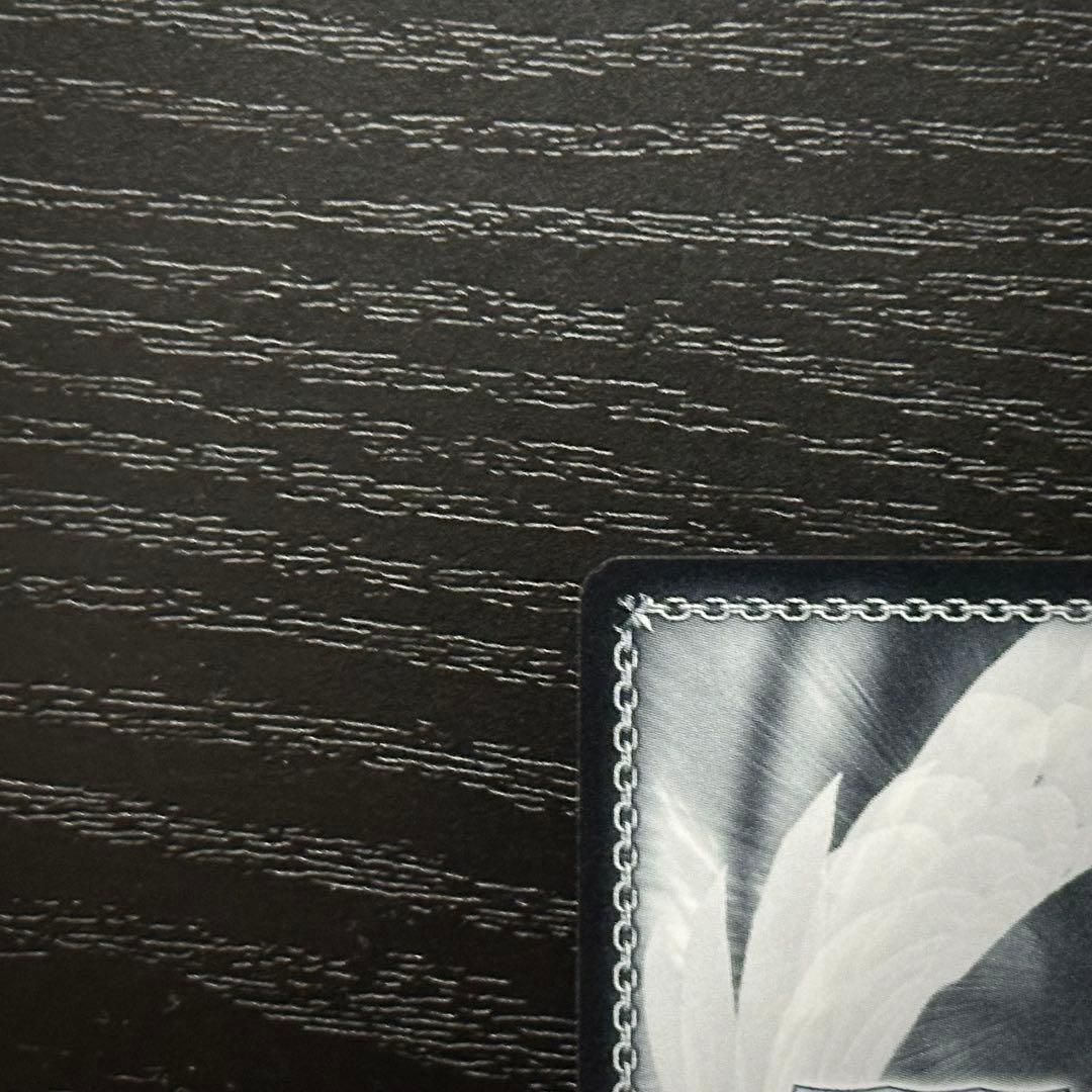 WS 純白の願い 中野五月 HYR