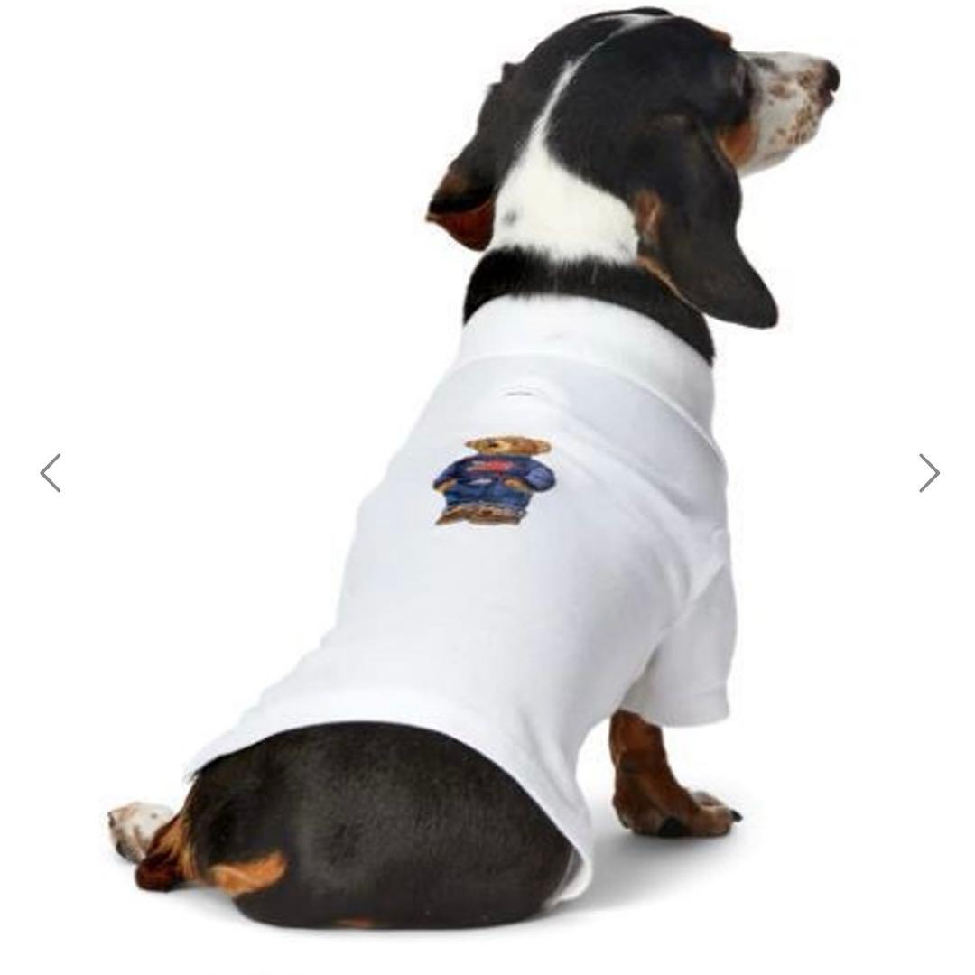 お値下げ　希少！ラルフローレン ポロベア　犬服　ドックウェア　XXL