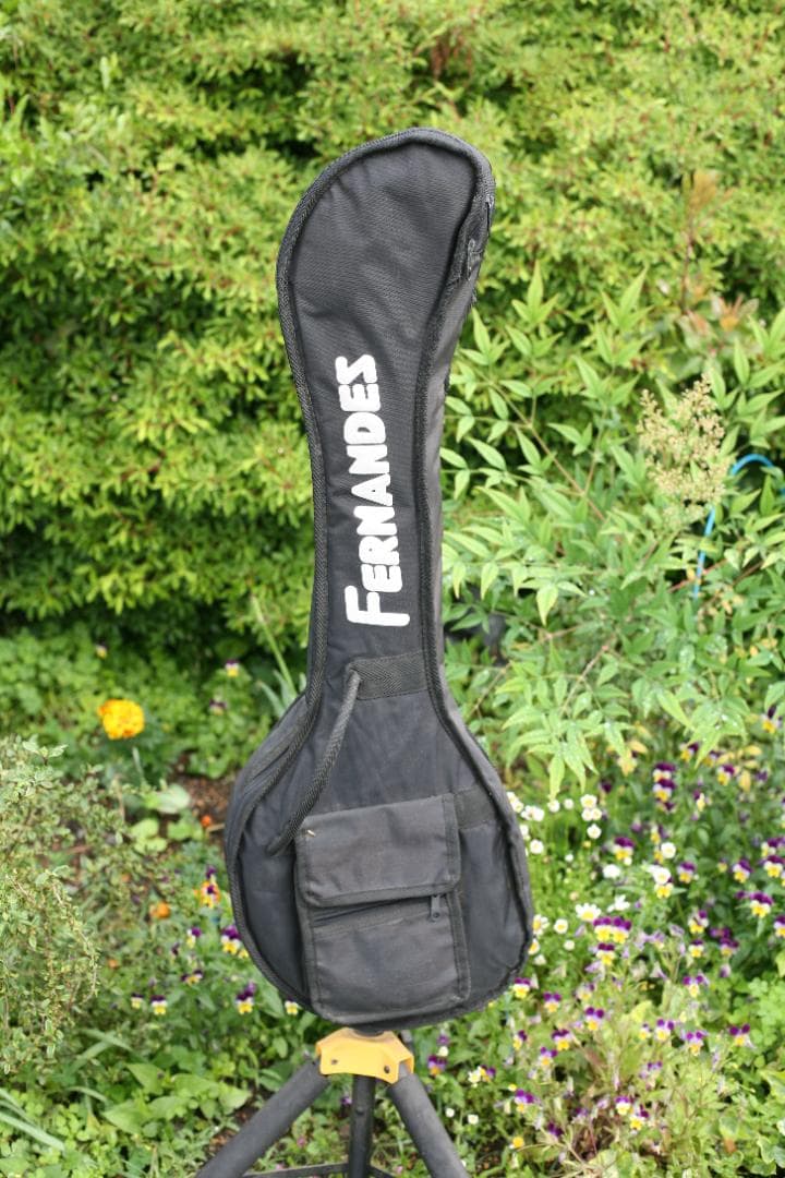 ギター Fernandes ZO-3 RED