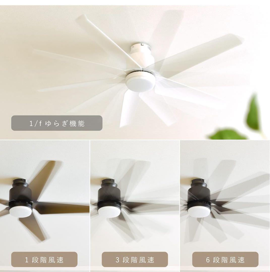 シーリングファンライト Finia（フィニア）