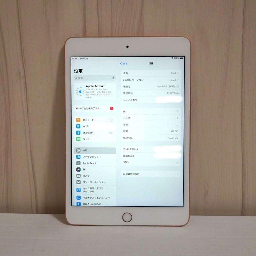 【訳あり】Apple iPad mini 5 Gold 64GB Wi-Fi