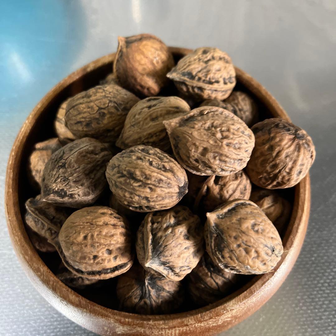 ￼朝鮮五葉松　殻付き松の実2キロその他