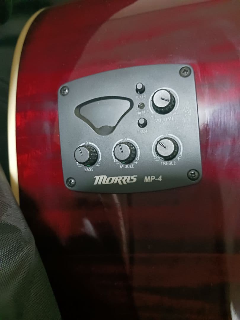 Morris モーリス G-021E WR エレアコ