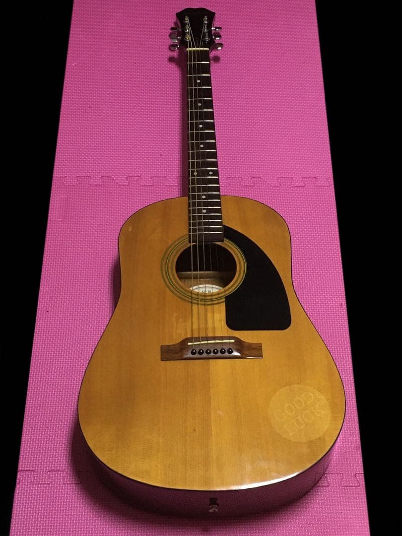 エピフォン ギター Epiphone AJ10 アコギ Gibson ギブソン