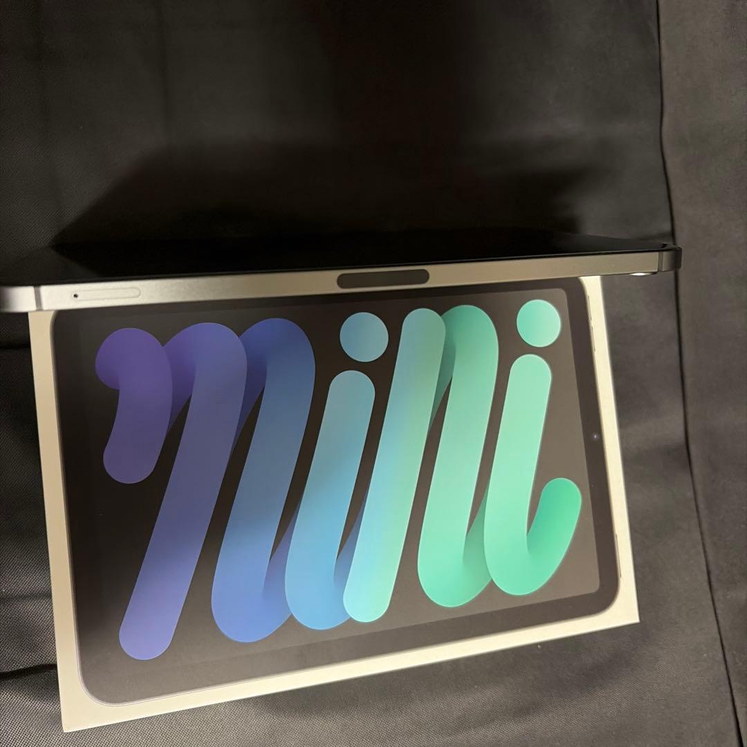 iPad mini 6 256G セルラー