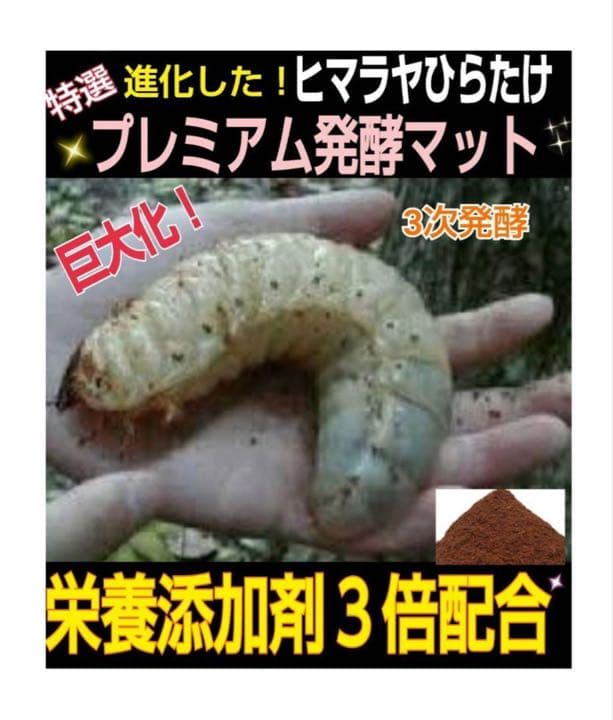 極上☆ギネス狙いに！プレミアム3次発酵カブトムシマット【8袋】特殊アミノ酸強化！