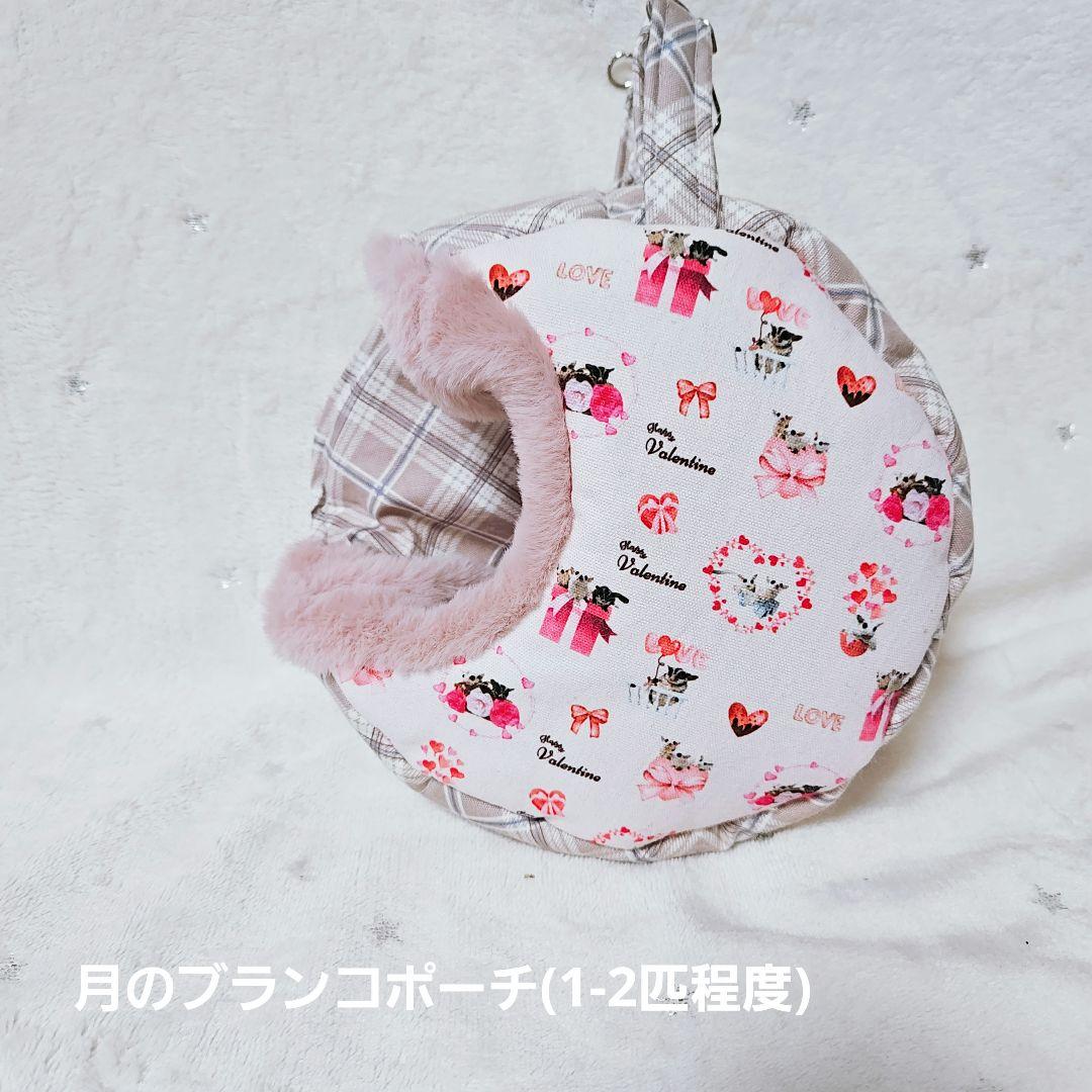 第2回⑤【バレンタインオリジナル生地】＊ころんと日和＊フクロモモンガ＊小動物