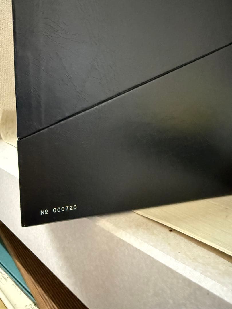 【ちゃーちゃさん専用】