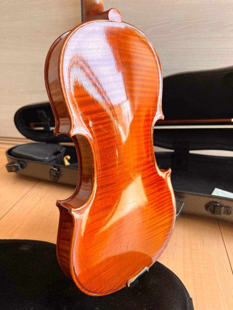 Pyroviolin 4/4バイオリン本体Gewaケース付き