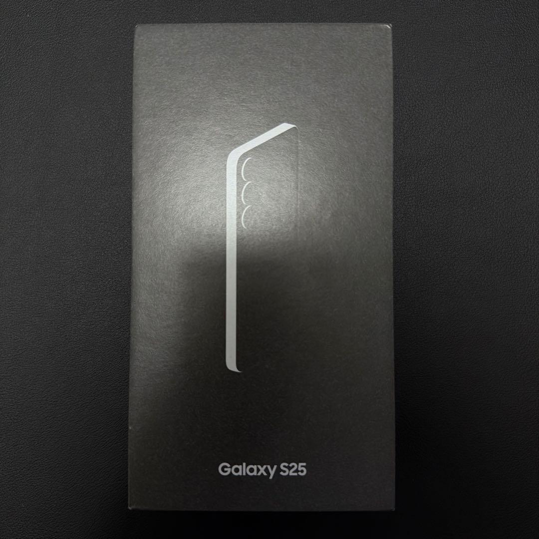 Samsung Galaxy S25 Icyblue 本体