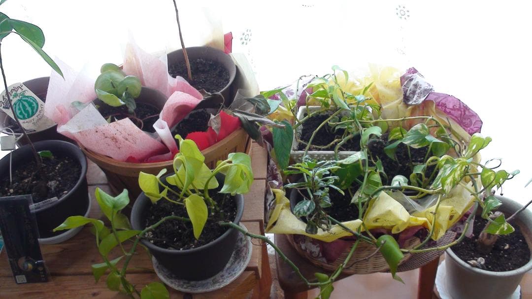 撮影画像あり 動作良好　SONY　HDR-SR11　付属品あり　FULLHD