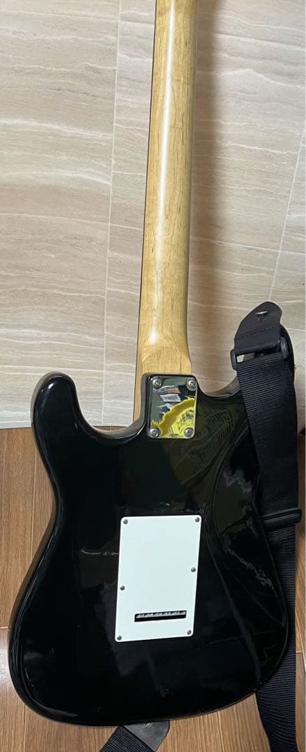 エレキギターborn in the states developed