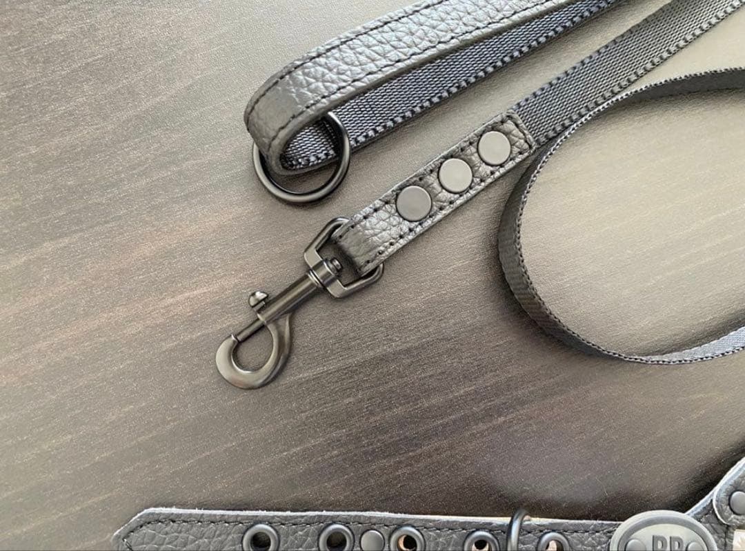 バディーベルト ハーネス 2.5号 ナイロンリード　バディベルト