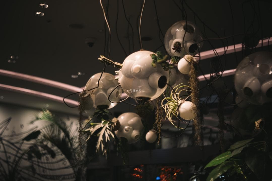 山崎磨き！Leica Summar 50mm f2 山崎ズマール オールドレンズ