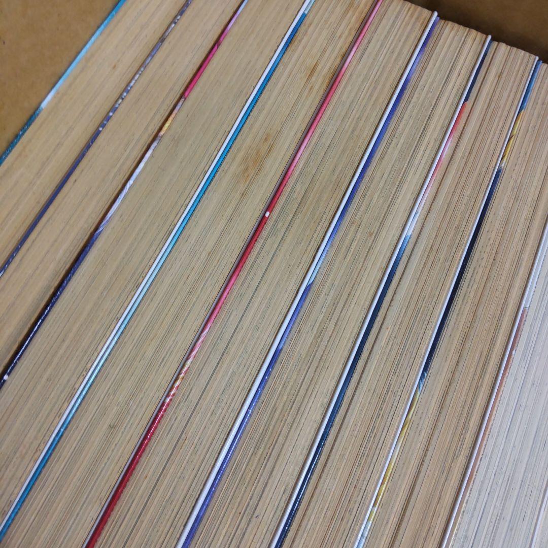 アナトゥール星伝 全20巻 折原 みと