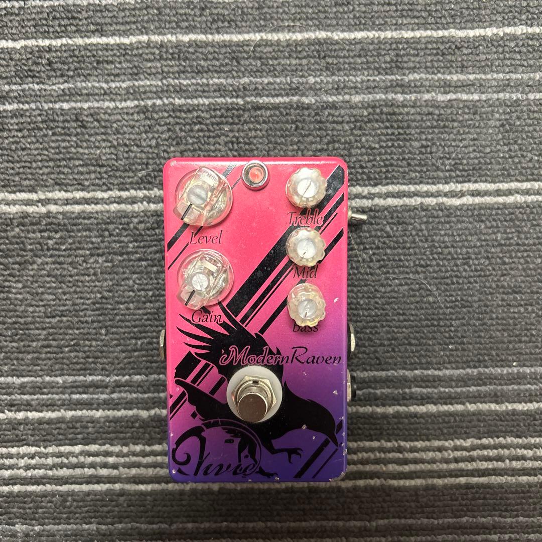 ギター Vivie Modern Raven